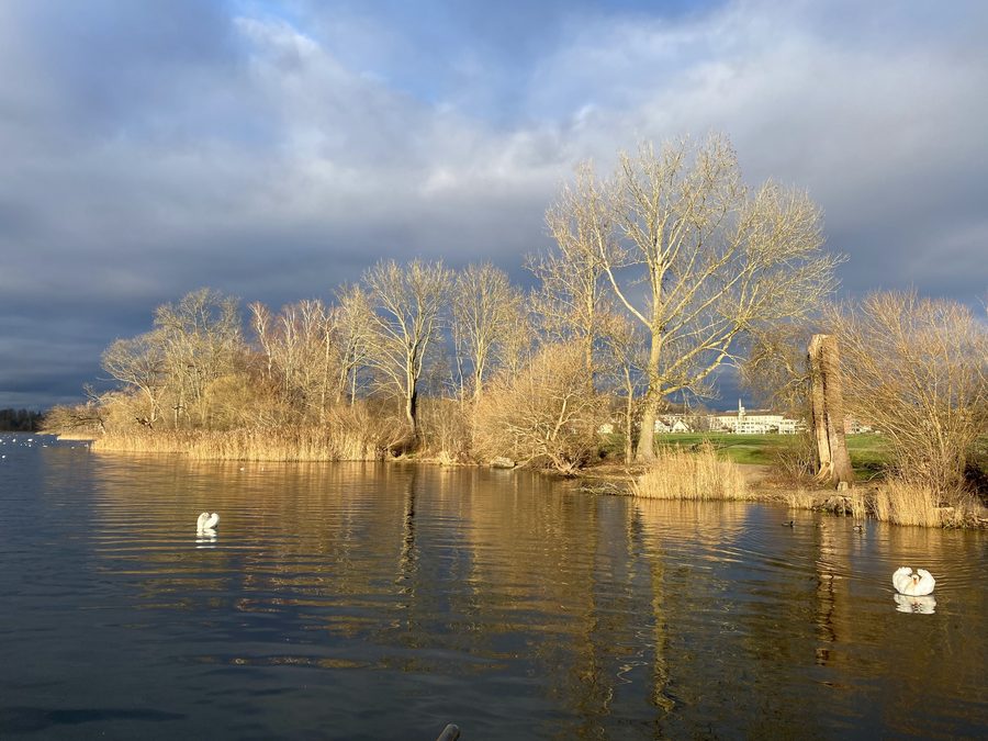 Greifensee nel Canton Zurigo