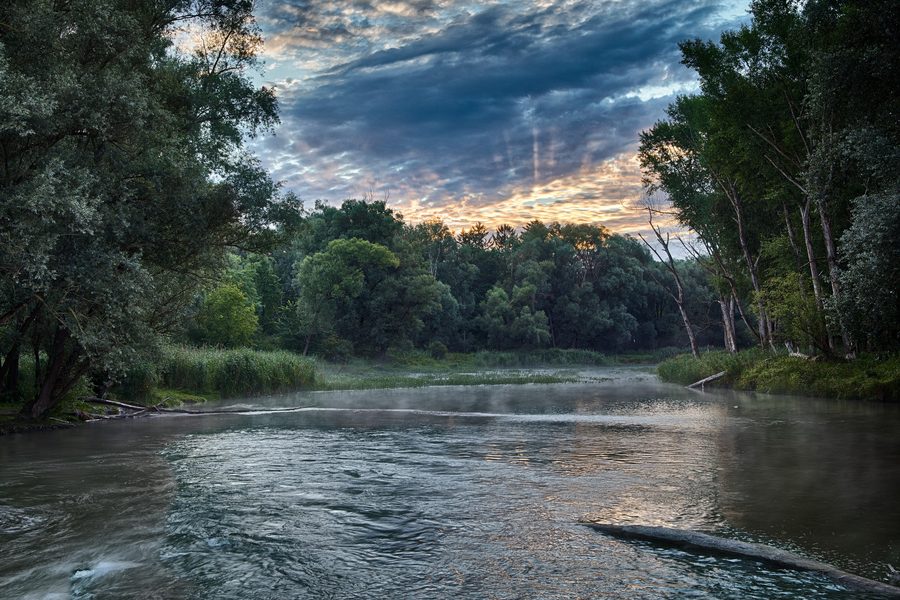 Atmosfera del mattino in una zona golenale