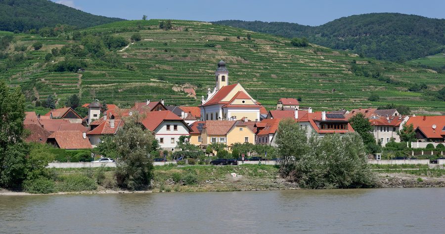 Vista dalla riva del Danubio su Wösendorf nella Wachau con la chiesa parrocchiale e i vigneti sullo sfondo
