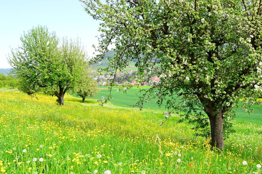 Fricktal in primavera con paesaggio rurale