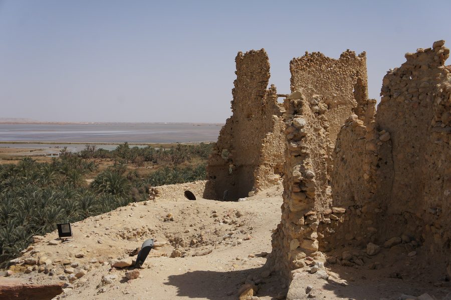 Vista dalla collina di Aghurmi sul paesaggio di palme dell'oasi di Siwa