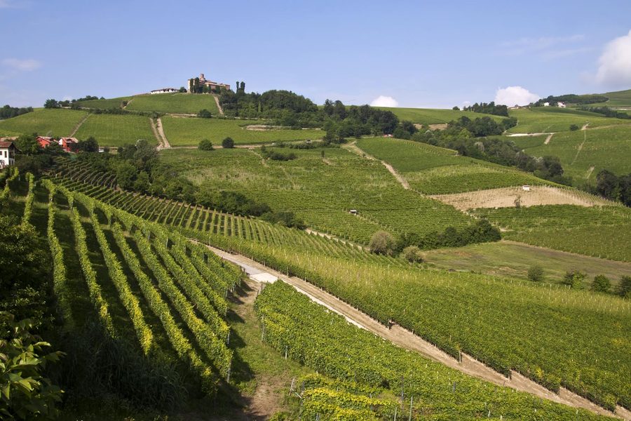 Paesaggio collinare delle Langhe con vigneti nella provincia di Cuneo, Piemonte
