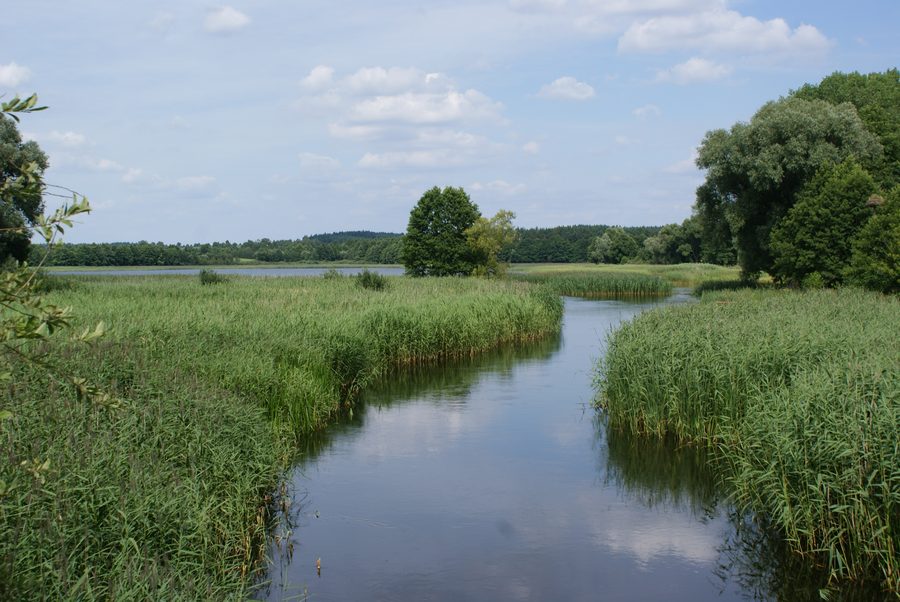 Fiume Ełk vicino al villaggio di Miluki