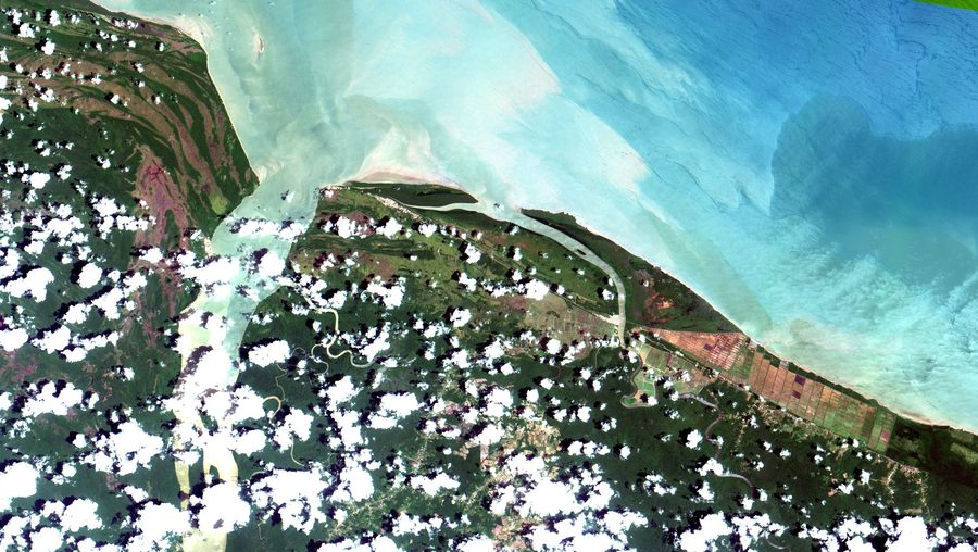 Foce del Maroni in Guiana Francese