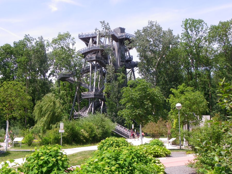 Passerella sulle chiome degli alberi alla Garten Tulln
