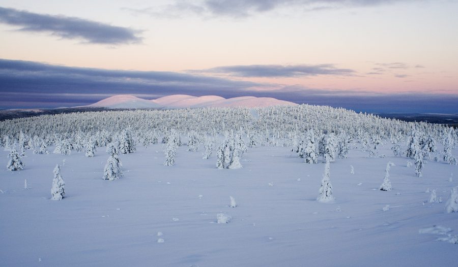 Paesaggio di fell nella Lapponia finlandese