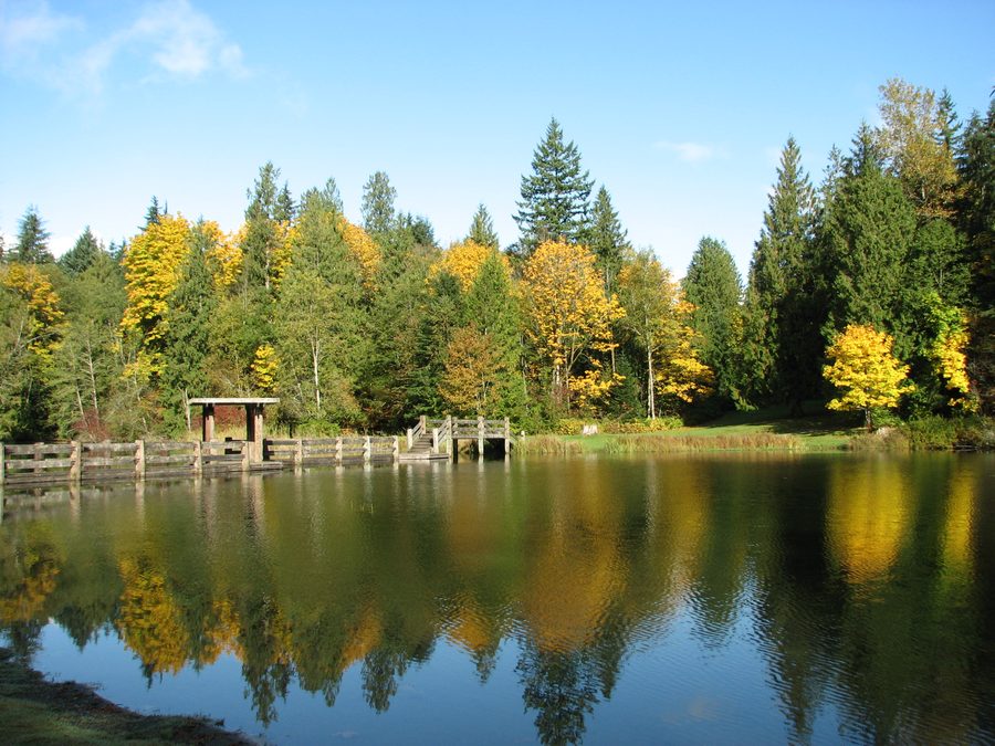 Silver Lake nella contea di Whatcom, Washington