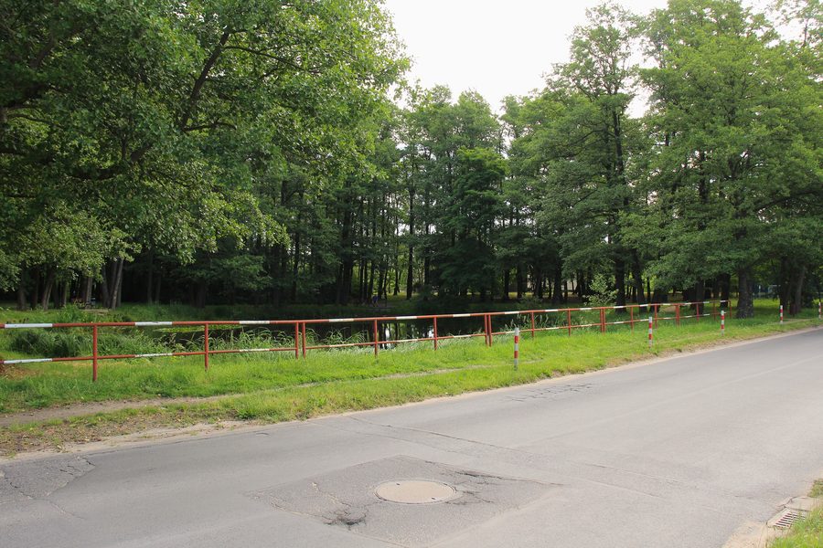 Stagno in via Olszynowa a Przeźmierowo
