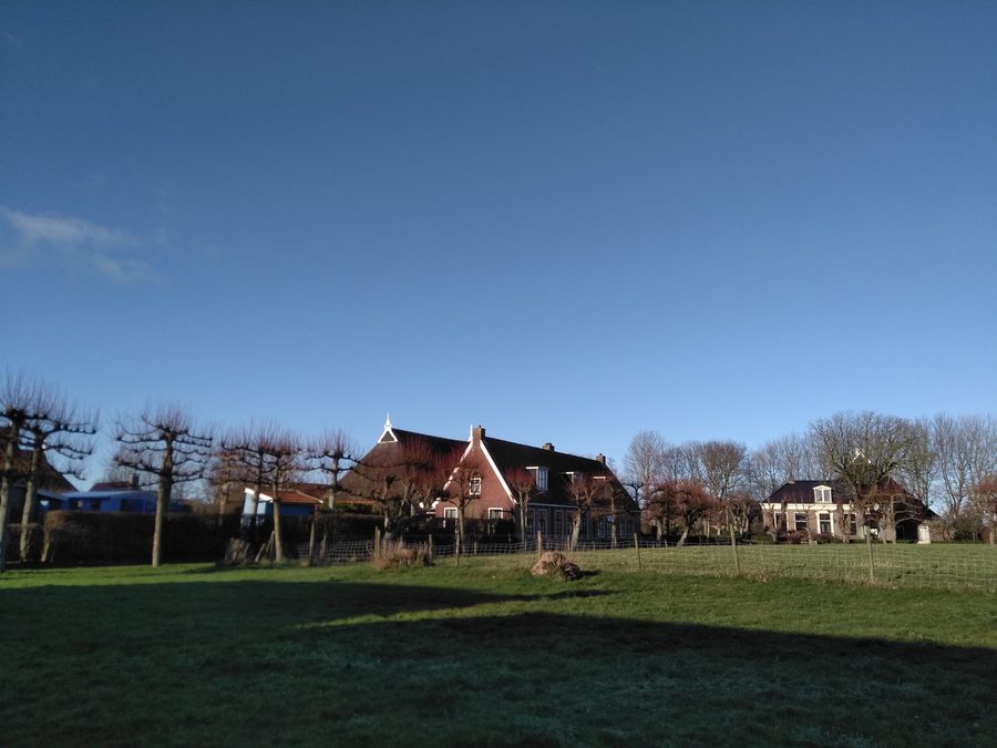 Case sulla terp di Niawier nel Noardeast-Fryslân