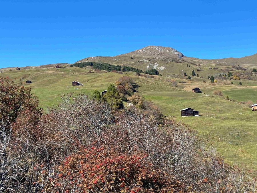 Vista sul Piz Sezner nella Val Lumnezia in autunno