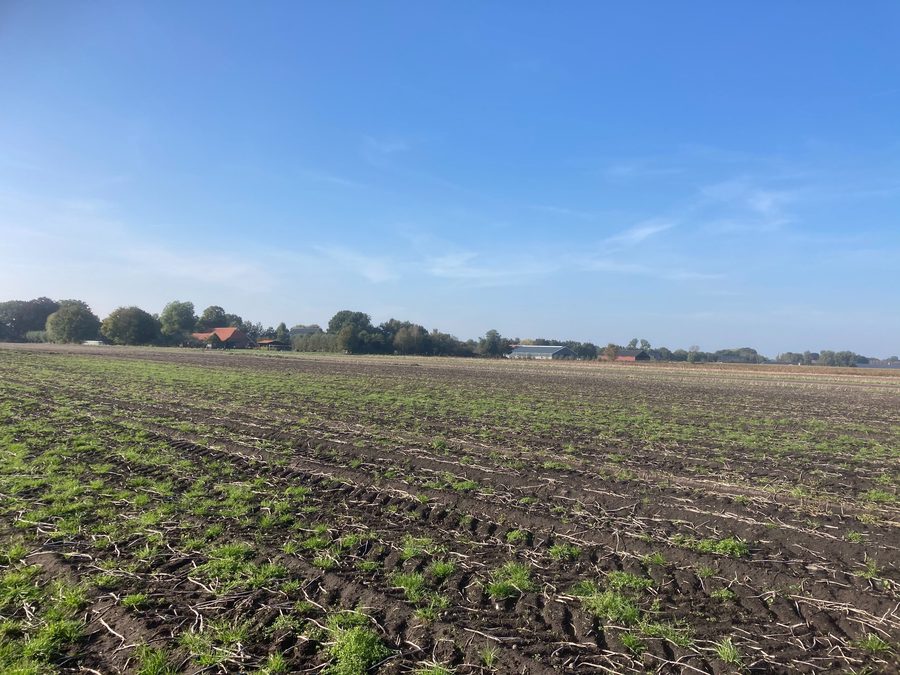 Bonifica dei terreni di torba e area di ritenzione idrica vicino a Nieuwlande