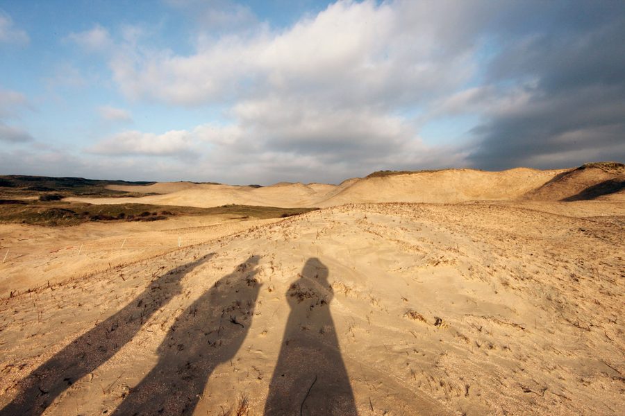 Paesaggio aperto di dune nell’area PWN presso Heemskerk