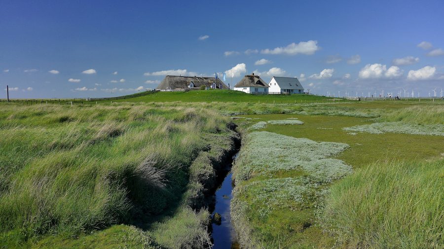 Paesaggio della Hamburger Hallig nel Parco nazionale del Wattenmeer