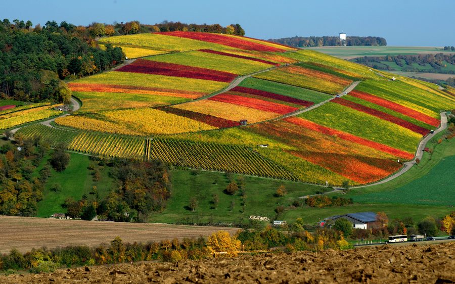 Vista dal Karlsberg su Weikersheim e i vigneti della Taubertal in autunno