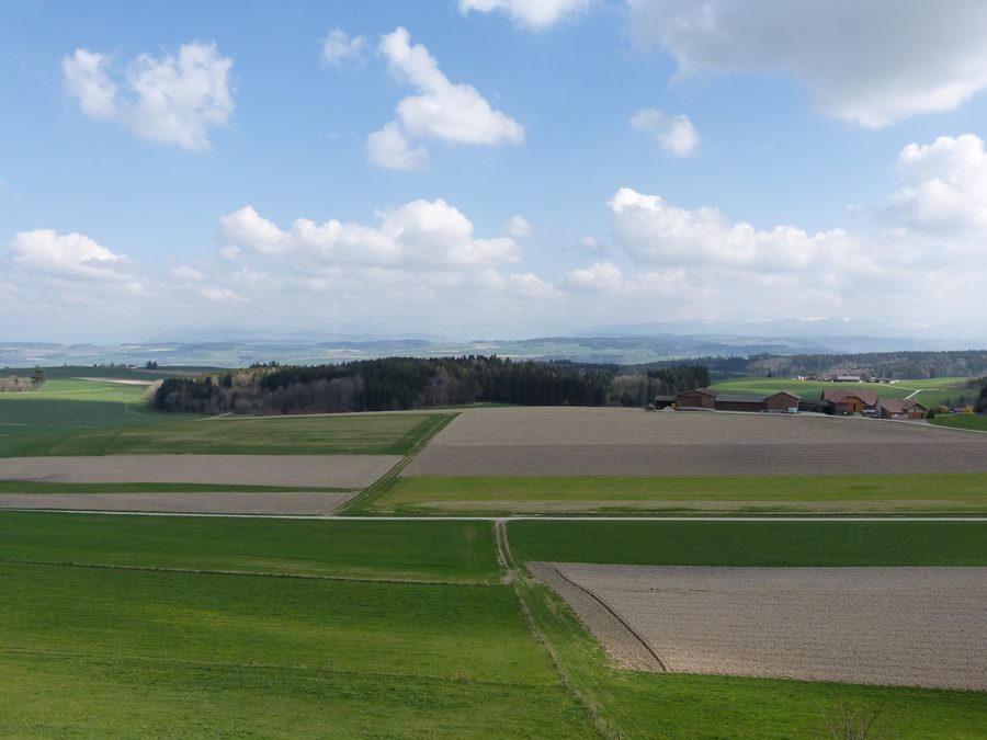 Ampia veduta paesaggistica sul Gros-de-Vaud con vista sulle Alpi