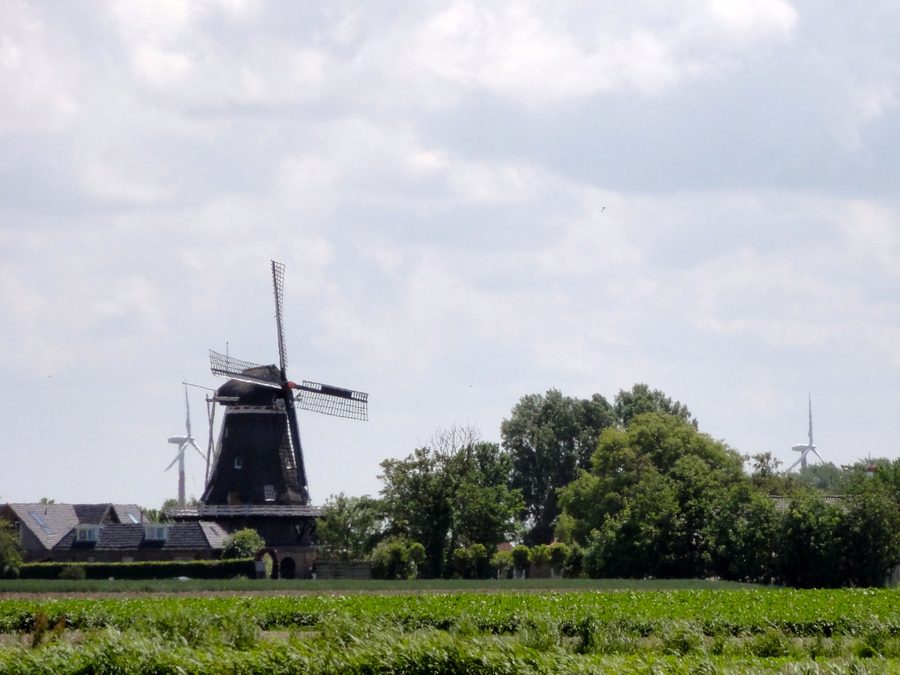 Mulino De Korenaar a Sexbierum