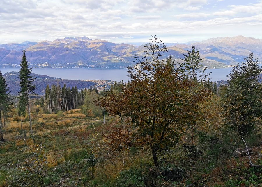 Vista sul Lago Maggiore dal sentiero per il Monte Sette Termini, nel territorio di Montegrino Valtravaglia