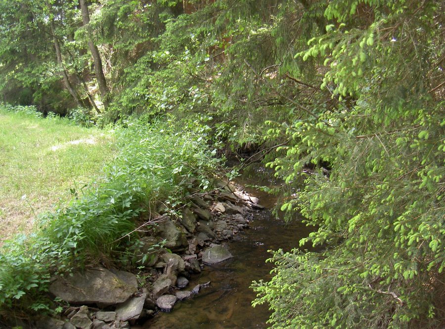 Bayerische Schwarzach nell'Alto Palatinato