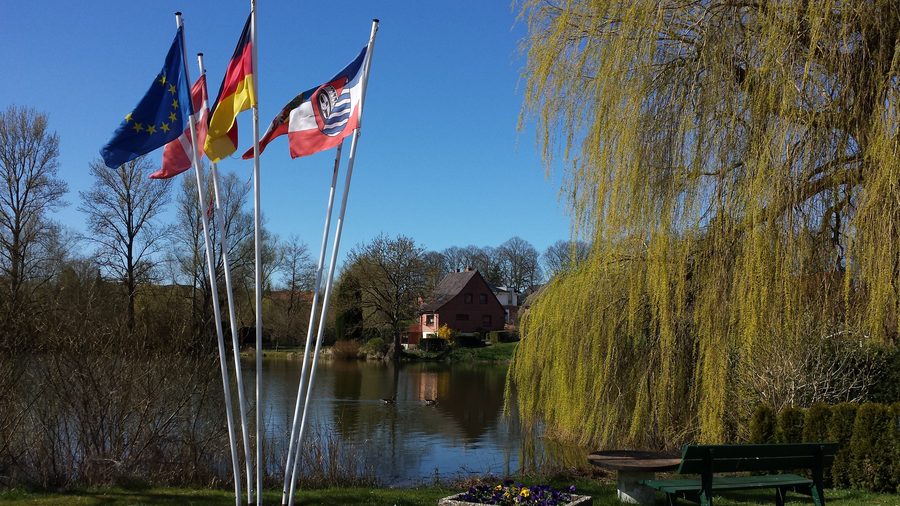 Stagno del villaggio a Malkwitz presso Malente nello Schleswig-Holstein
