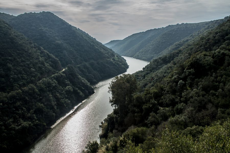 Sentiero attraverso il paesaggio del parco naturale Sierra de Hornachuelos