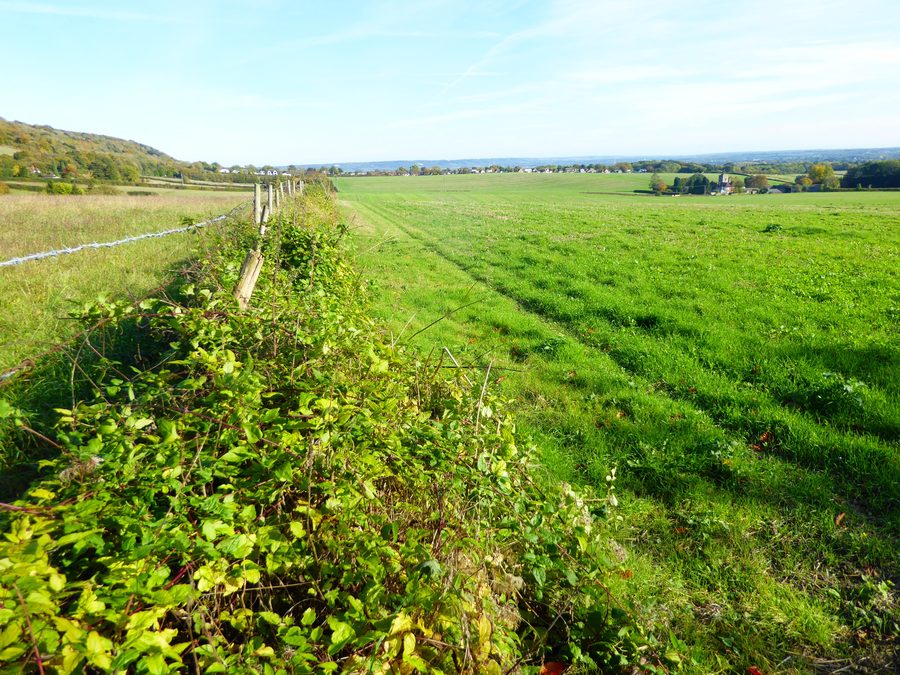 Paesaggio ai piedi delle North Downs vicino al Trosley Country Park