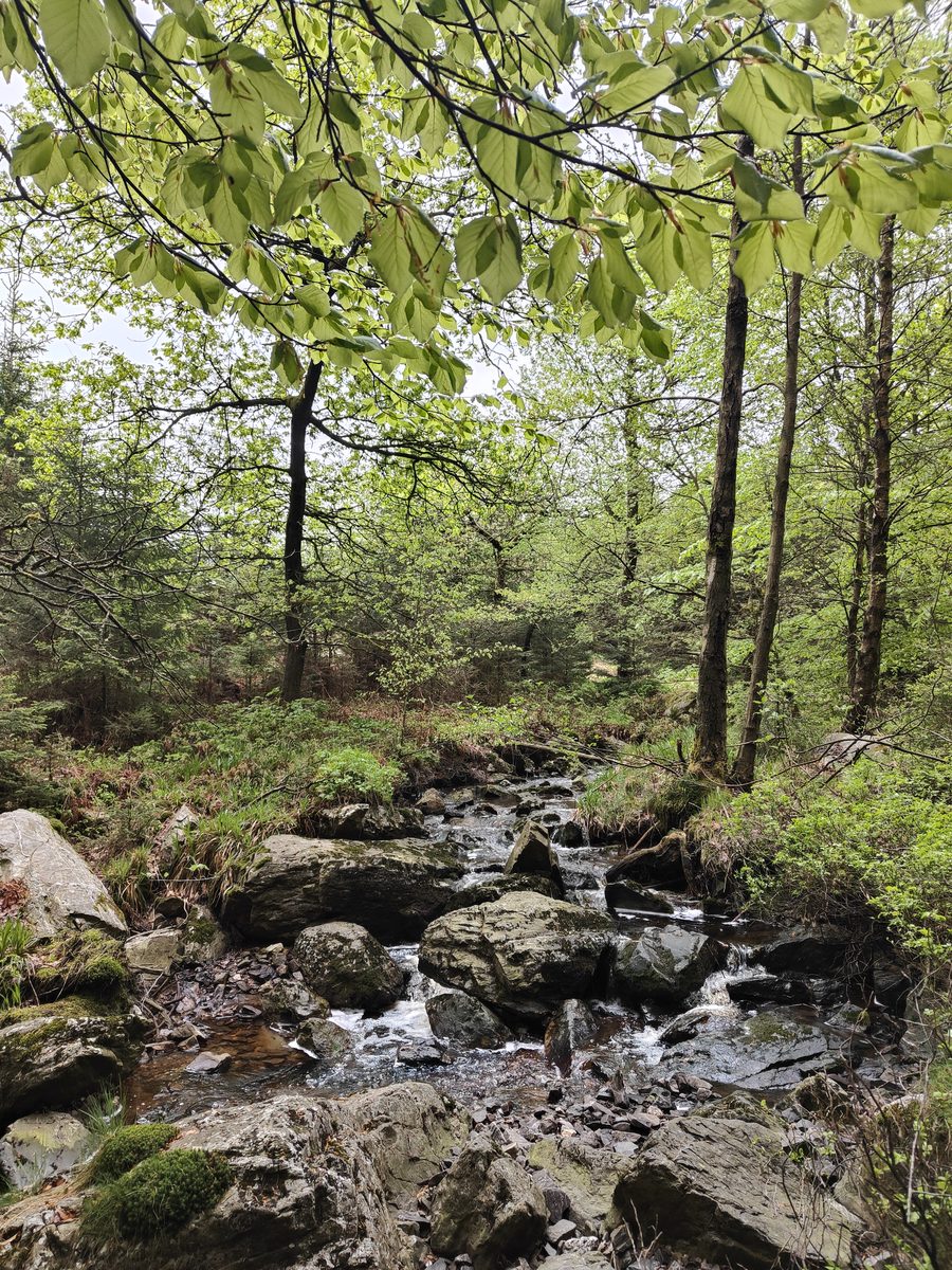 Paesaggio delle Ardenne in Belgio