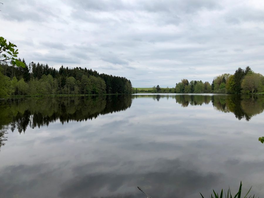 Engelsrieder See presso Rott, visto dalla riva orientale