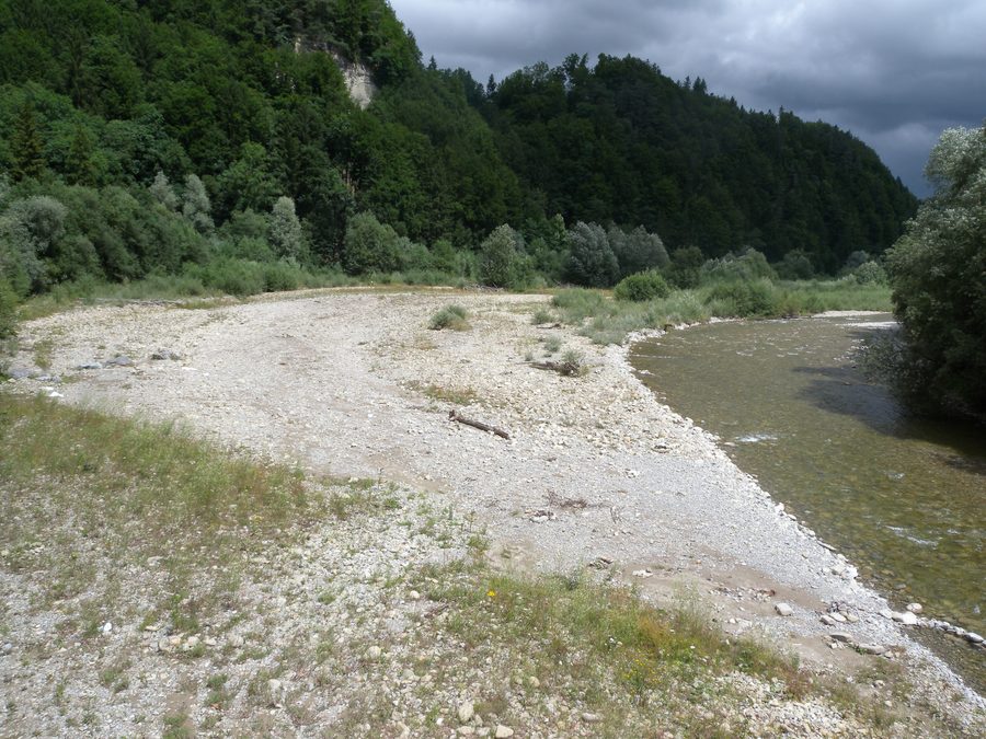 Paesaggio golenale della Sense presso Schwarzenburg al ponte Sodbach