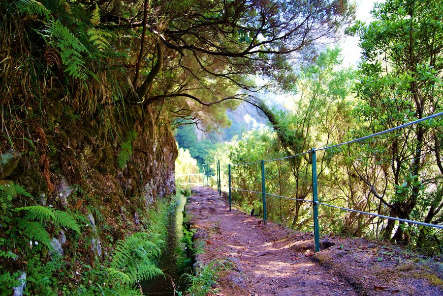 Sentiero della levada attraverso il paesaggio di Madeira