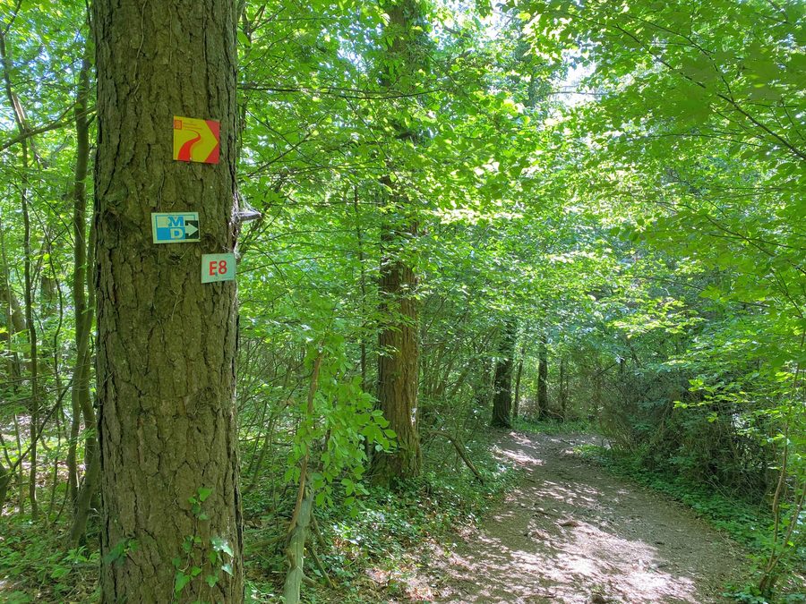 Paesaggio lungo l’Altmühltal-Panoramaweg presso Obereichstätt nel circondario di Eichstätt