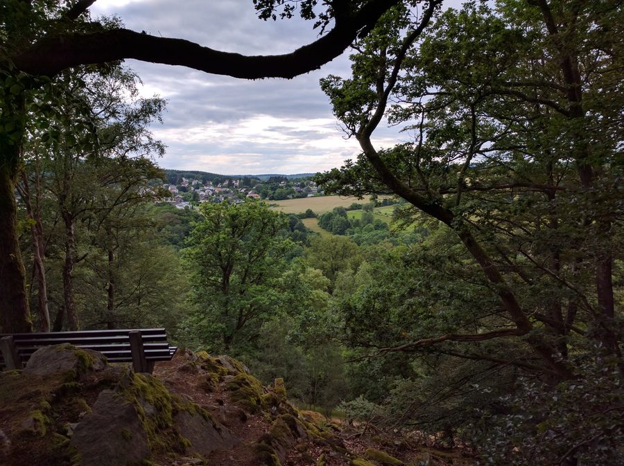 Vista nel Parco nazionale del Saarland Hunsrück-Hochwald presso Nonnweiler