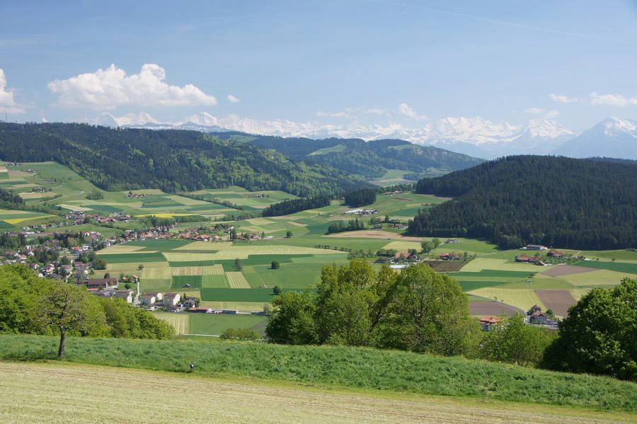 Paesaggio presso Ballenbüel a Konolfingen con vista sulla regione alpina bernese