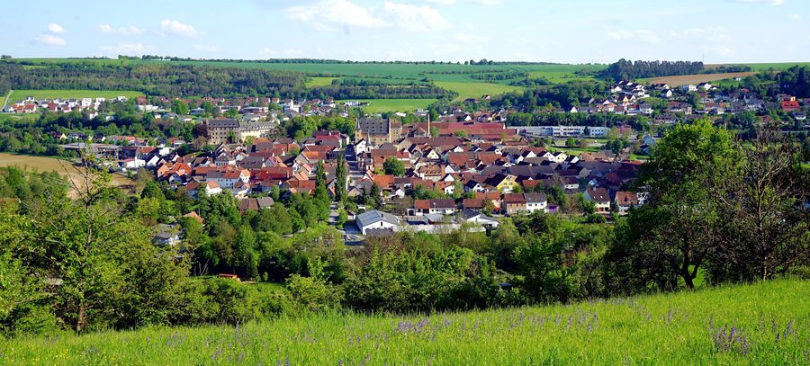Vista su Thüngen dal vigneto nel maggio 2024