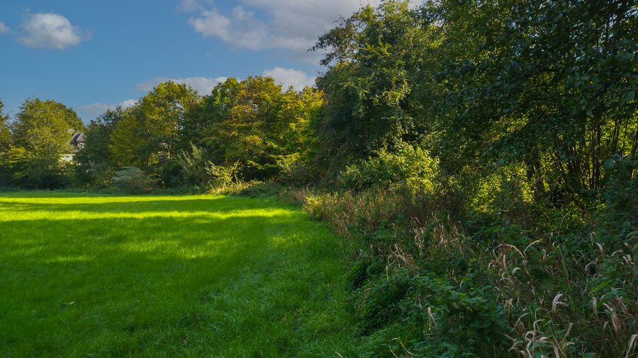 Paesaggio lungo la Bollingstedter Au nell'area FFH Treene, da Winderatter See fino a Friedrichstadt