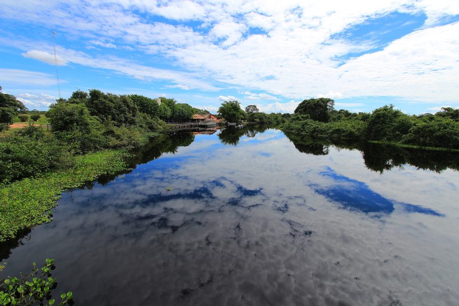 Canale fluviale e vegetazione palustre nel Pantanal.