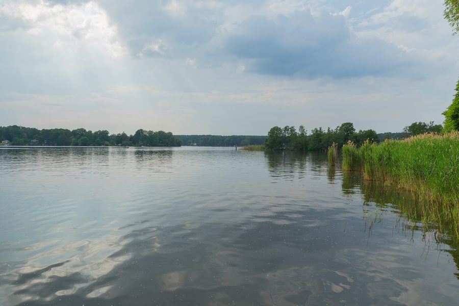 Paesaggio lacustre sulle rive del Teupitzer See nel Landkreis Dahme-Spreewald in Brandeburgo