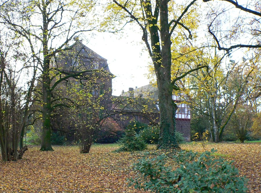 Unterburg a Fronhausen, Assia