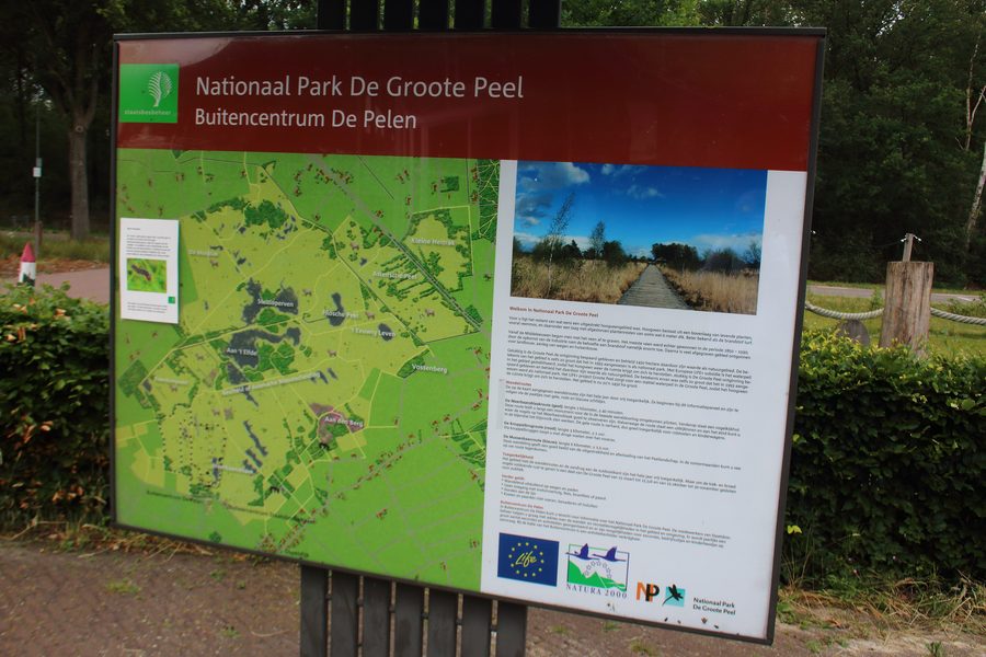 Paesaggio nel Parco nazionale De Groote Peel, Paesi Bassi