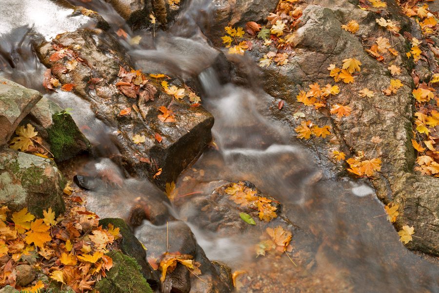 Corso d’acqua nel Patapsco Valley State Park presso Baltimore, Maryland