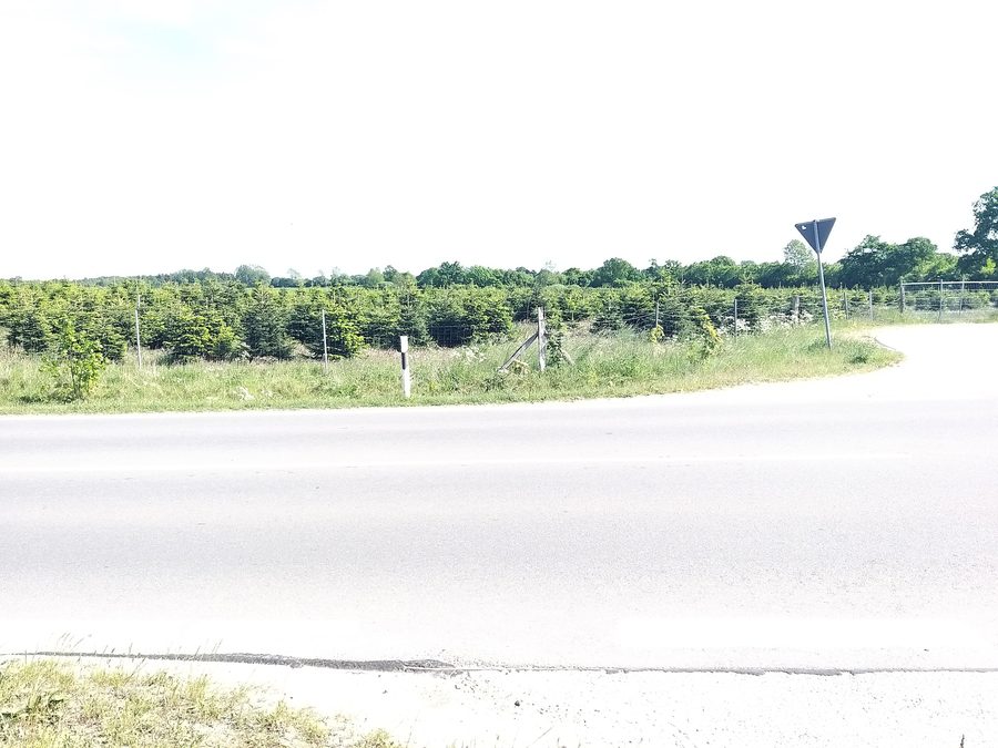Strada provinciale L44 a Osdorf