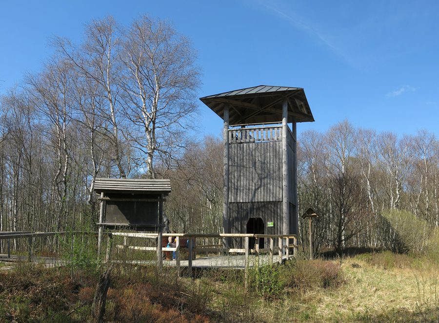 Torre panoramica nel Rote Moor nella Rhön