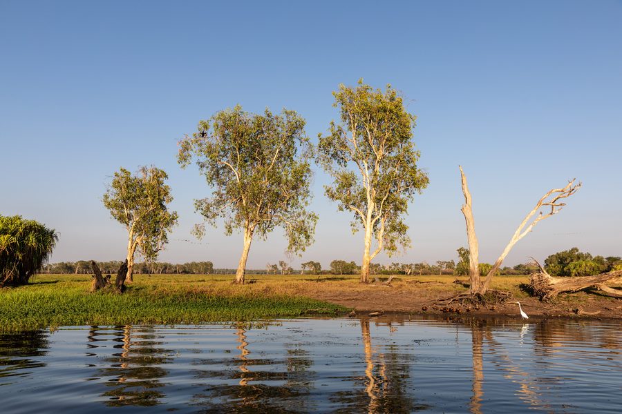 Yellow Water nel Parco nazionale di Kakadu