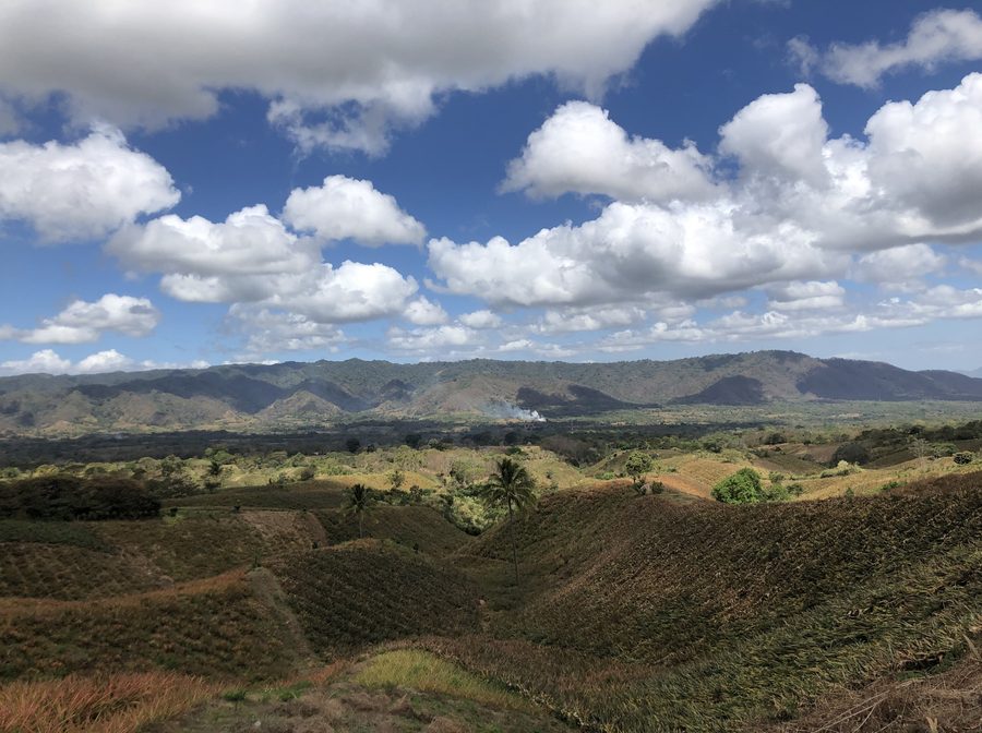 Coltivazione dell’ananas nella stagione secca nel comune di Ticuantepe, Nicaragua