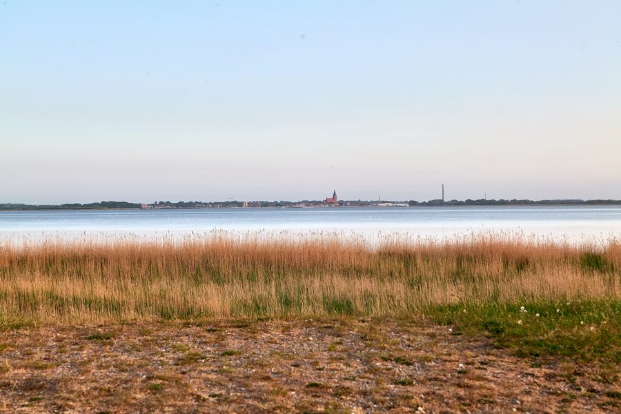 Vista da Zingst sul Barther Bodden nel Parco Nazionale del Bodden di Pomerania Anteriore