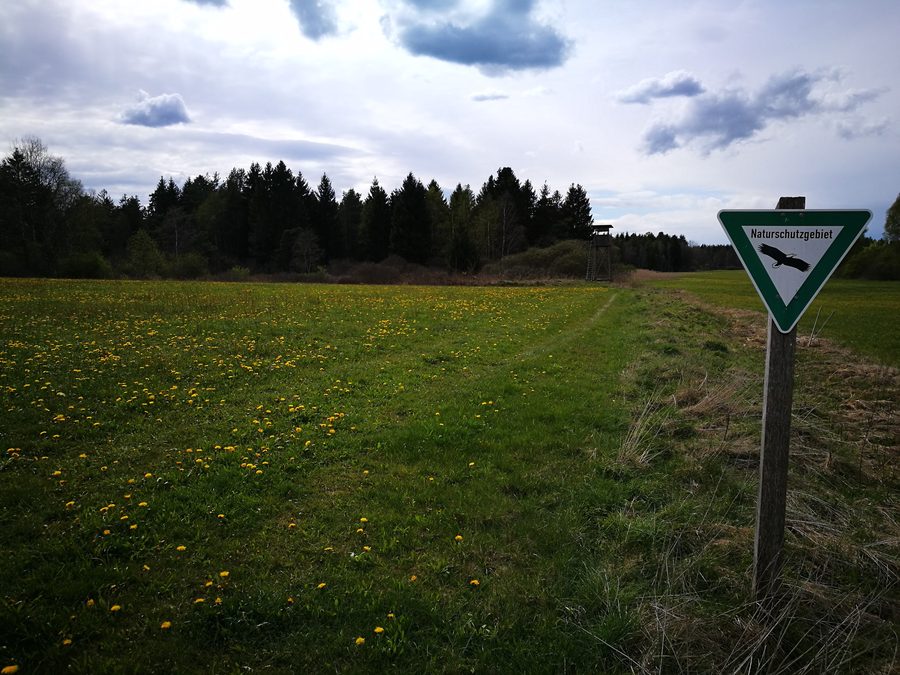 Riserva naturale Waltere Moor presso Sauldorf con paesaggio di torbiera e vegetazione