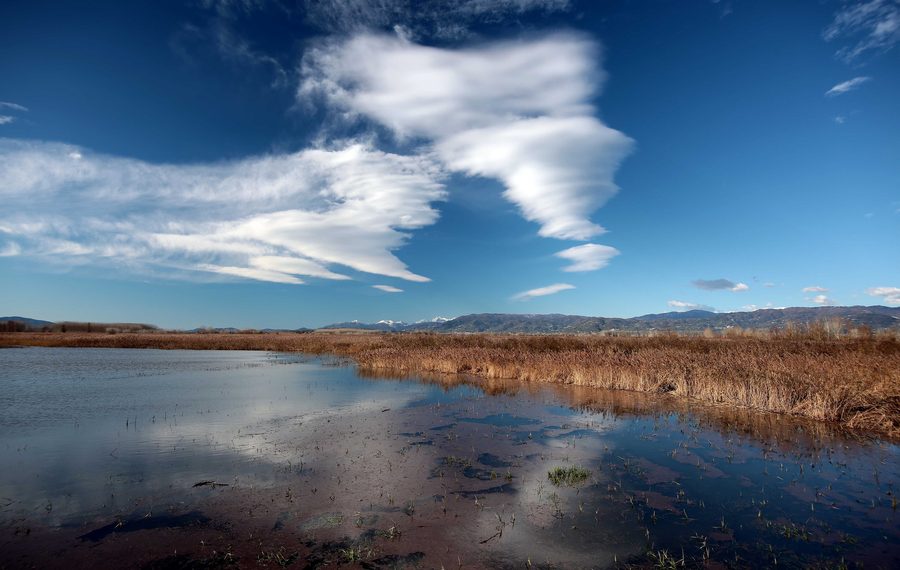 Paludi di Fucecchio con paesaggio di zona umida aperta
