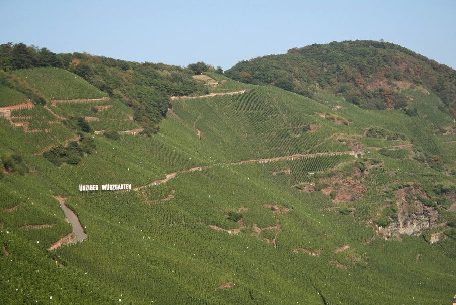 Vigneto Ürziger Würzgarten presso Bernkastel-Kues