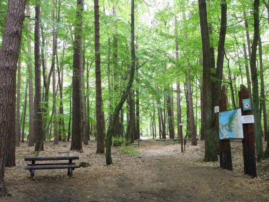 Paesaggio nel Parco Nazionale di Wolin vicino al lago Czajcze