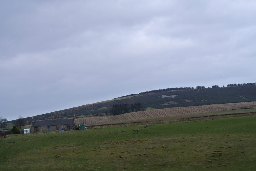 Figura di cavallo bianco sul Mormond Hill vicino a Strichen nell'Aberdeenshire