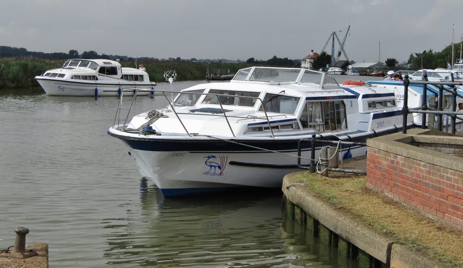 Barche da diporto a Reedham